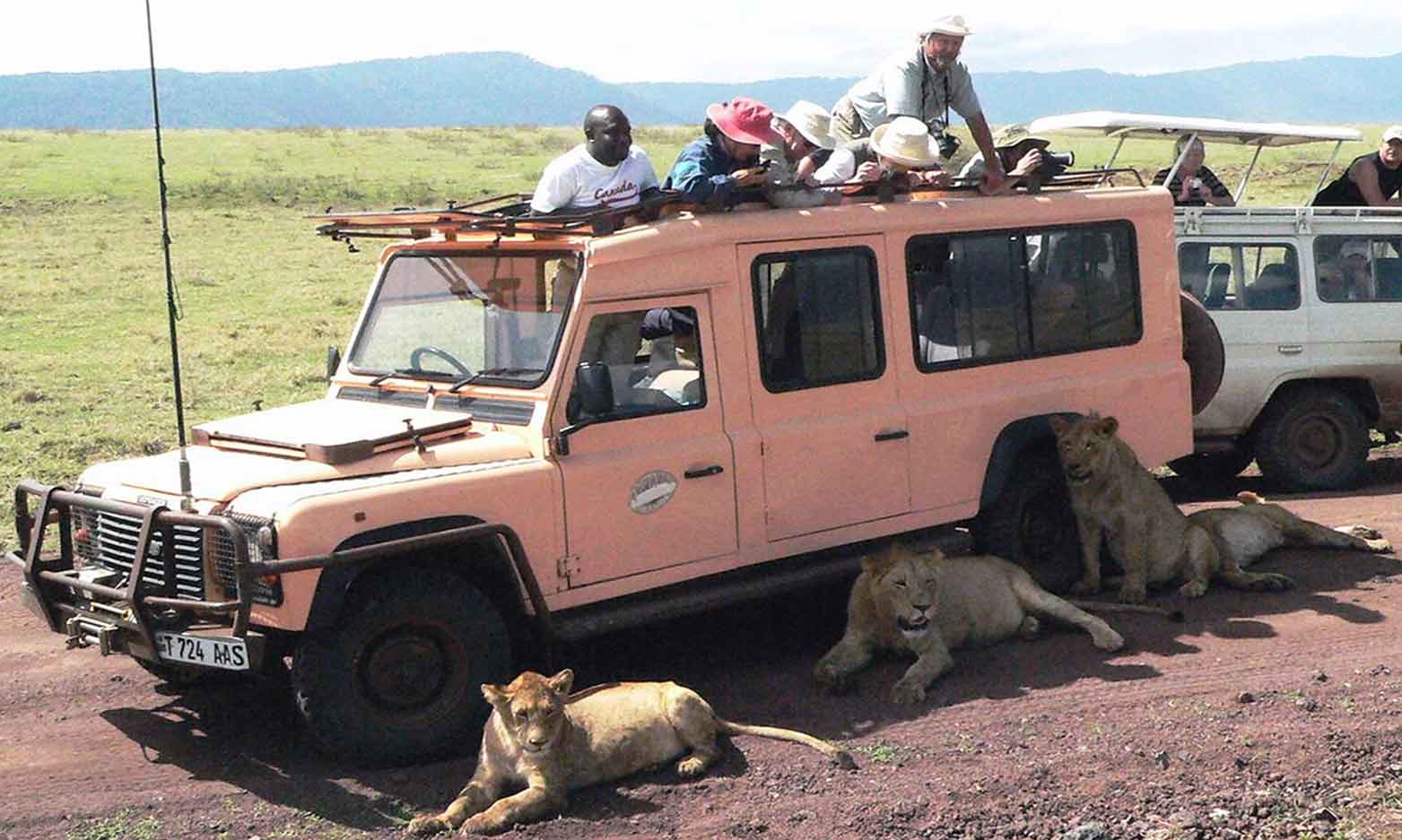 safari_vehicle